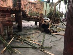 -泉州海丝野生动物世界