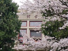 -武汉大学-樱园