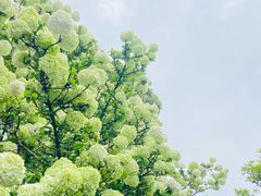 -新时代家居生活广场(古墩店)