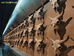 -大庆市博物馆