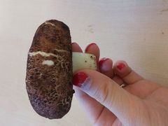 android_upload_pic-全家便利店(年家浜路店)