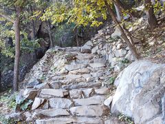 -鹫峰国家森林公园