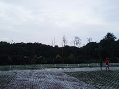 -雀儿山公园