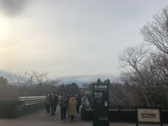 -沼津魚がし鮨(御殿場アウトレット店)