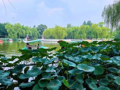 -丰台花园