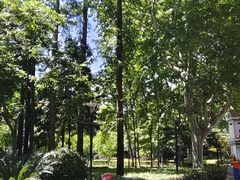 -徐家汇源景区-衡山公园
