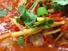 招牌仔姜鲜锅兔-又见小河浜·盐帮川菜(松江商业广场店)