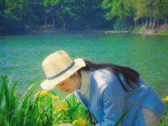 -紫霞湖公园