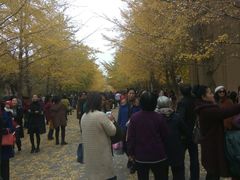 -辽宁大学(崇山校区)