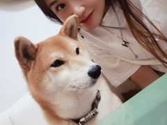 -小时光咖啡馆(北锣鼓巷店)