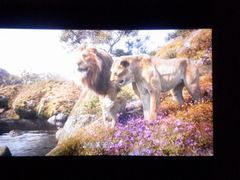 -华谊兄弟影院(IMAX洋桥店)