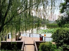 -前关湿地公园