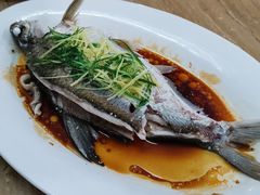清蒸扁鱼-顺德美食坊(南沙分店)