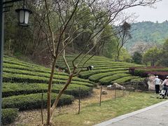 -敬亭山风景名胜区