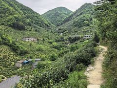 -东白山