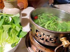 水煮鸡毛菜-初蓉丨遇见新川菜(亲贤街荣耀店)