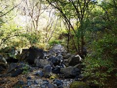 -云岫谷游猎自然风景区