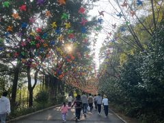 -广州市帽峰山景区