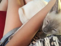 Mikaku(Mikaku万达店)-MIKAKU(万达广场上海宝山店)