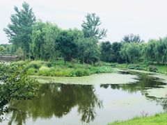 -东郊湿地公园