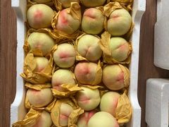 -南汇新场正宗水蜜桃采摘