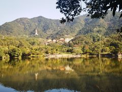 -深圳仙湖植物园