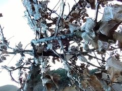 -江西阳明山国家森林公园