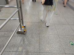 -WFC会仙楼观景台