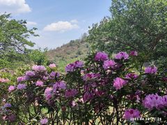 -名花谷生态庄园