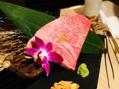 -焼肉 薩摩牛旬 A5鹿児島黒毛和牛一頭買い　(渋谷本店)