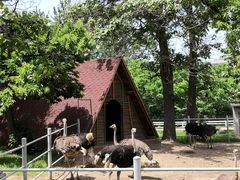 -西安秦岭野生动物园