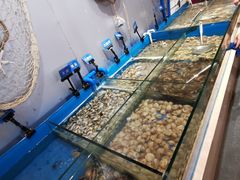 -凯悦·东方公主号 全球海鲜自助餐厅(凯丹广场店)