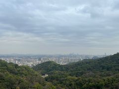 -点都德(广州白云山景区南门店)