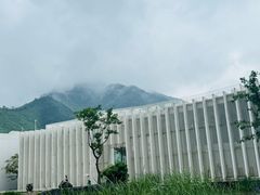 -中国宣纸文化园