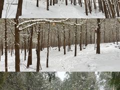 -龙洞风景区-藏龙涧