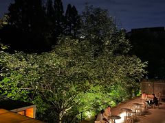 -毛辣果·酸(OHA复兴西路店)