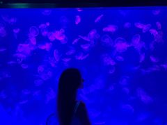 -沈阳海洋探索中心