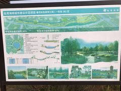 -春花秋色城市公园