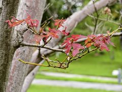 -白塘生态植物园