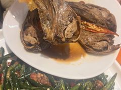 -叒缘夜光杯(望江橡树林店)