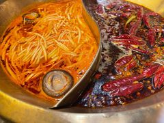 鸳鸯锅-小龙坎火锅(全球总店)