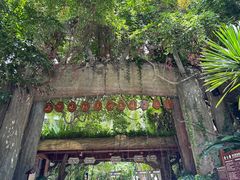 -西双版纳原始森林公园