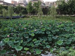 -沐仙湖湿地公园