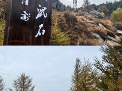 -苏木山森林公园