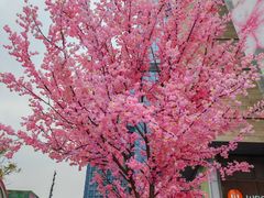 -首开·龙湖成都西宸天街