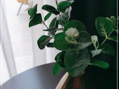 -华凌山庄·隐湖栖