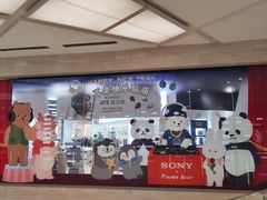 -Sony Store 索尼(来福士店)