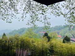 -莫干山风景区