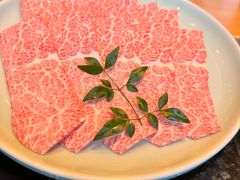 -然锅料理