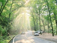 -洛阳白云山景区